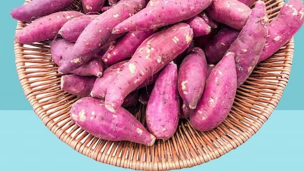 تصویر 3 از خرید سیب زمینی بنفش + قیمت فروش استثنایی